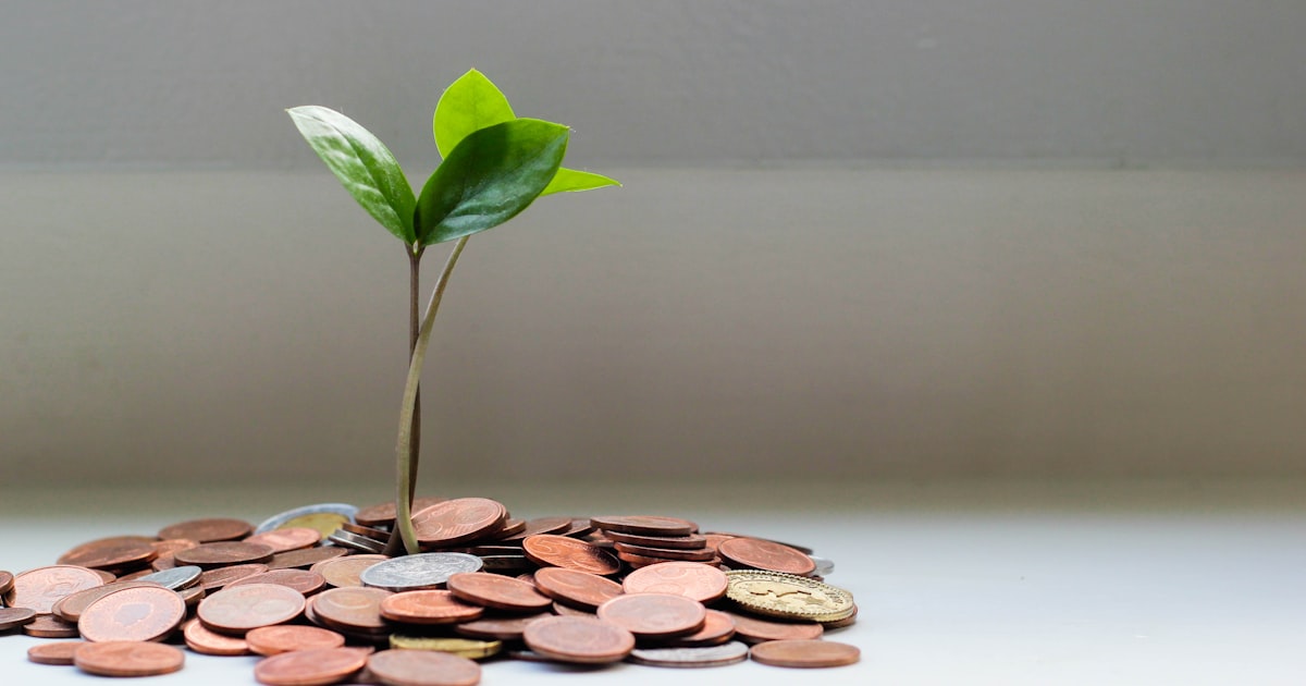 Cash Flow Statements: A Complete A Level Accounting Guide (IAS 7)